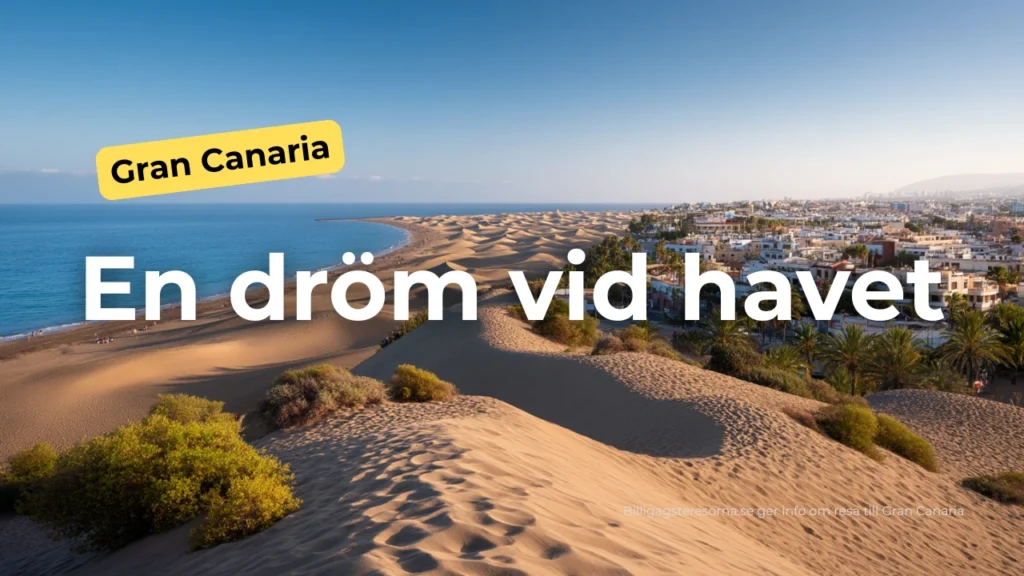 Drömmig 9:16 strandbild från Gran Canaria i golden hour – resa till Gran Canaria, sol, stränder och äventyr.
